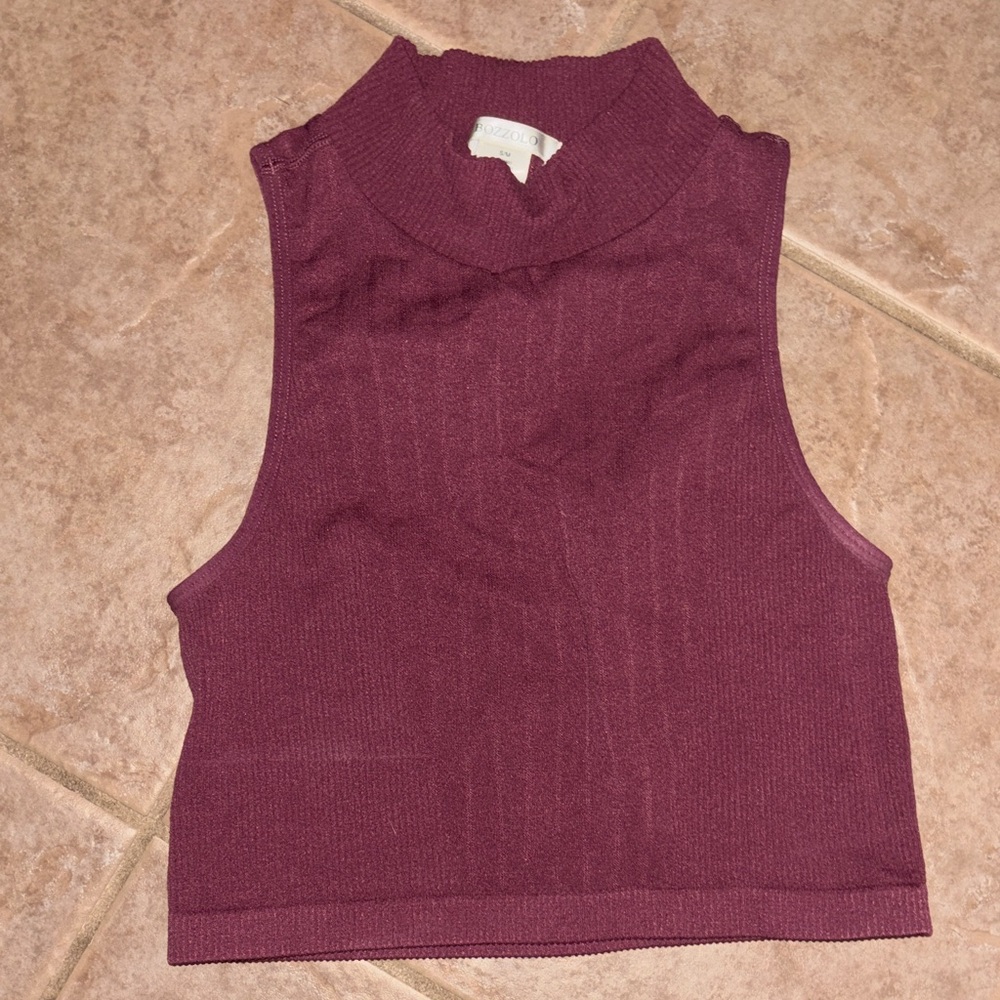 Bozzolo Sleeveless Mock Neck Crop Top - Plum